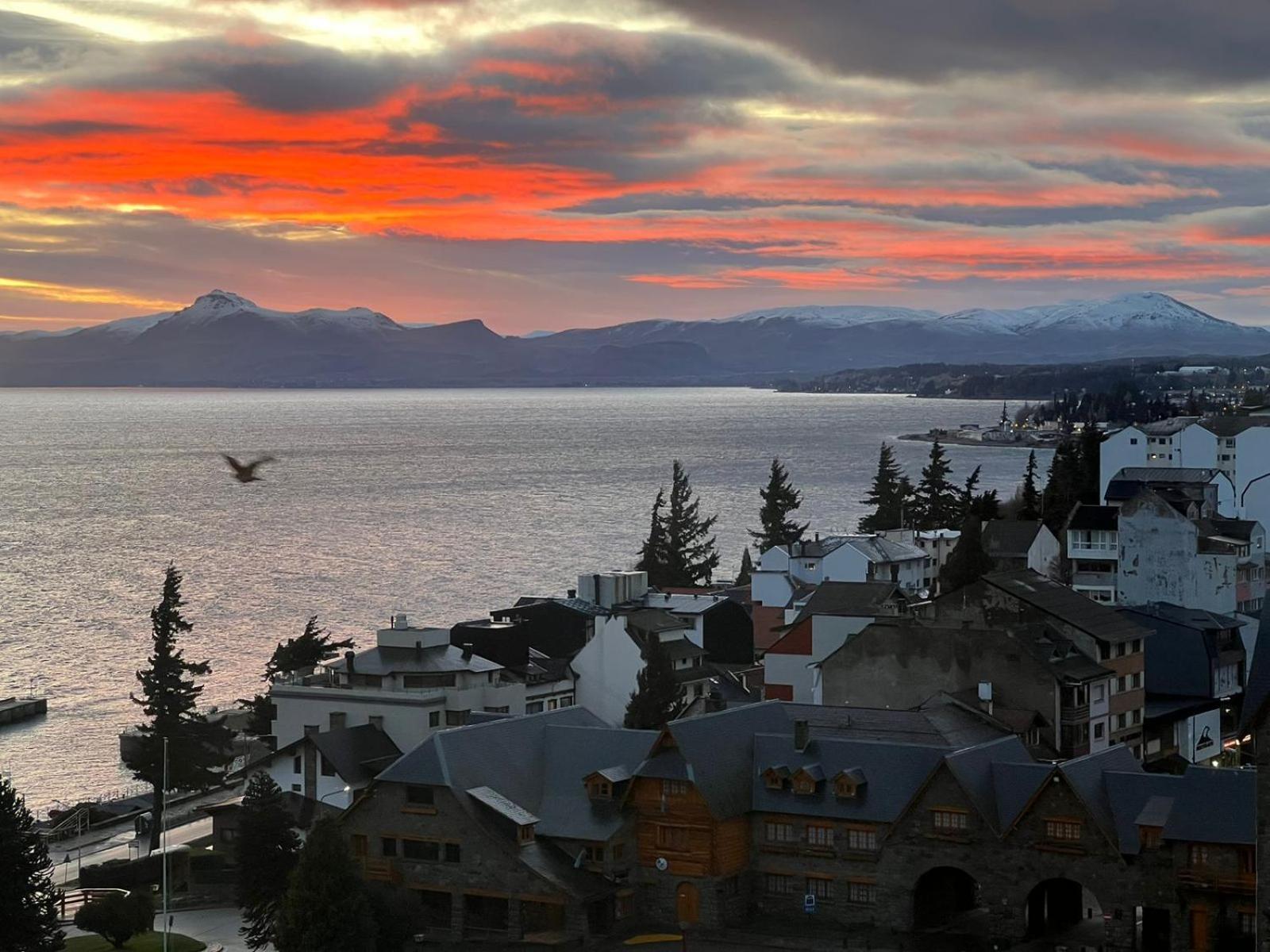 Nothofagus * San Carlos de Bariloche